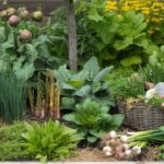 12 mehrjährige Gemüsepflanzen, die du jetzt einmal pflanzt und jedes Jahr erntest