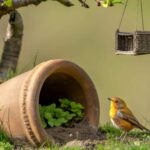 Warum ein schlichter Tontopf im Garten Rotkehlchen besser schützt als jeder Nistkasten